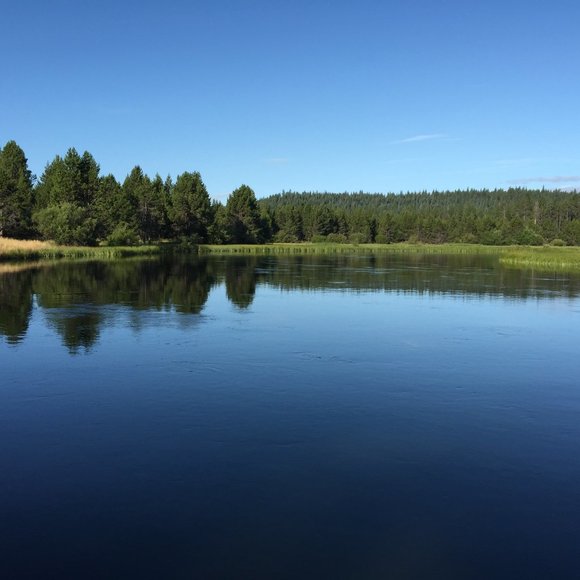 Meet your Posher, Chris - Picture 1 of 1